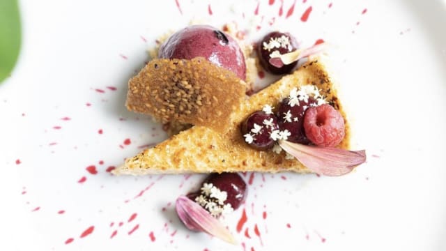 Cheesecake met een gel van blauwe bessen en cassissorbet