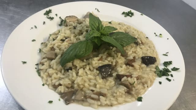 Piatto