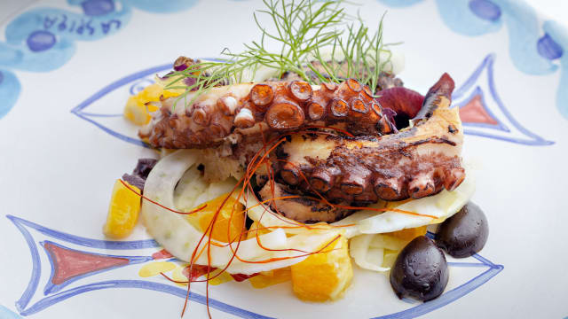 Polpo alla griglia / Grilled octopus Servito con insalatina di finocchi, agrumi e olive  Served with a Sicilian salad of fennel, citrus fruits and olives