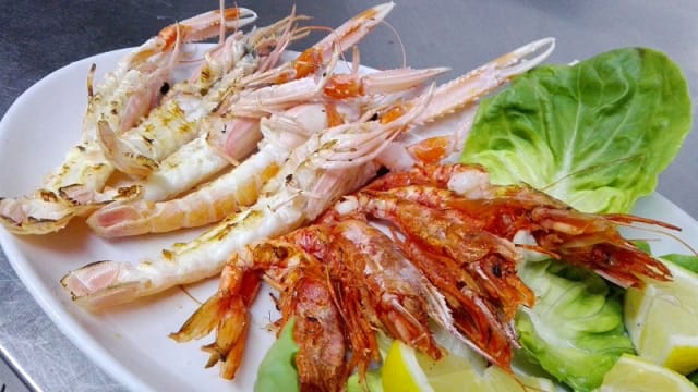 Piatto