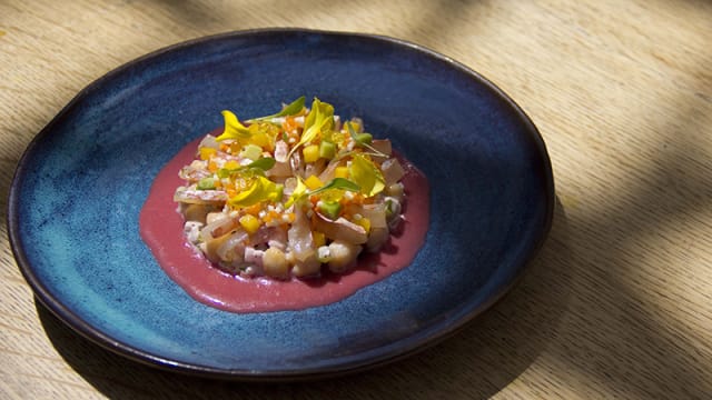 Salmonete curado, mango, aguacate, garbanzos y salsa cítrica de remolacha