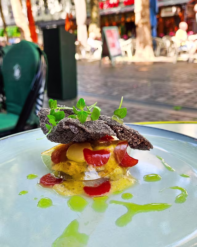 Een visueel aantrekkelijk gerecht met lagen van kleurrijke ingrediënten. Aan de basis ligt een stapel fijngehakte groenten, waarschijnlijk tomaten en komkommers, bedekt met een romige laag voor extra rijkdom. Het gerecht is gegarneerd met delicate microgroenten voor een frisse toets. Knapperige, donker geroosterde elementen zijn kunstzinnig bovenop geplaatst, wat textuur en contrast toevoegt. Een scheutje groene olie omringt het gerecht en versterkt de presentatie en smaak.