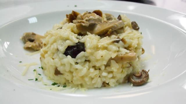 Sugerencia plato