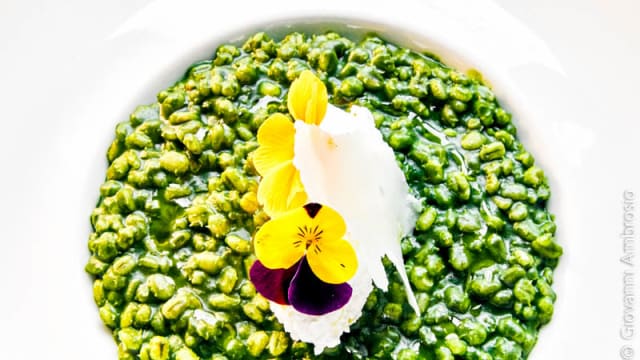 Suggestion de plat