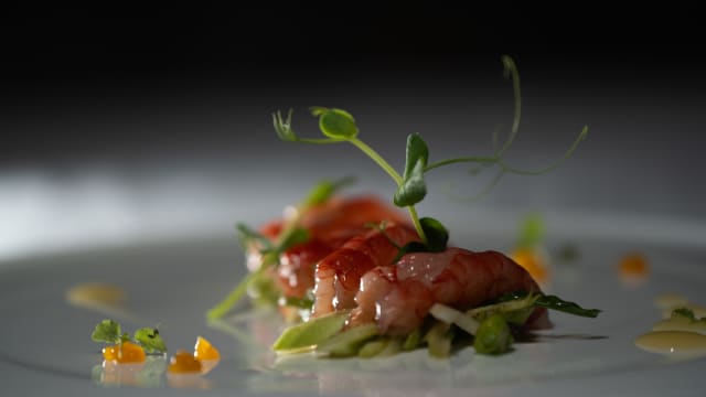 Gamberi rossi e le puntarelle alla romana