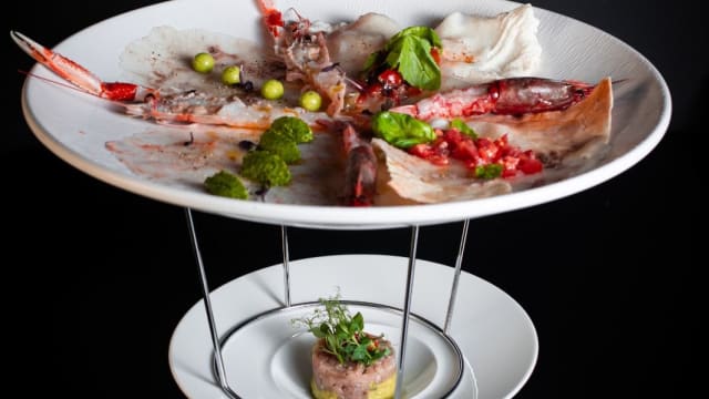 Odissea di Crudi (2° parte)