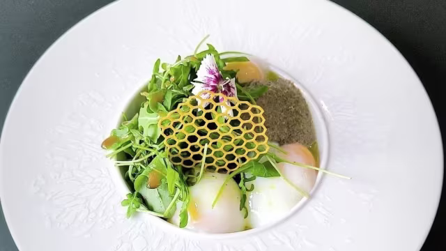 Le Quattuor, Salon-de-Provence