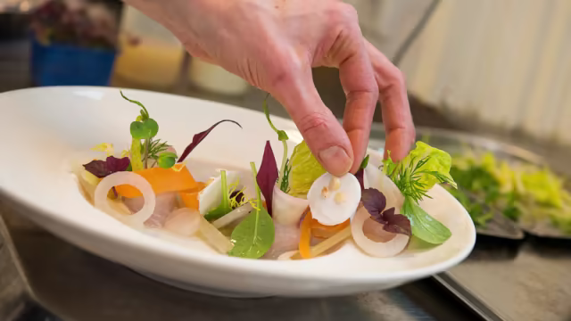 Een visgerecht in wording