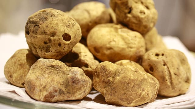 Tartufo bianco