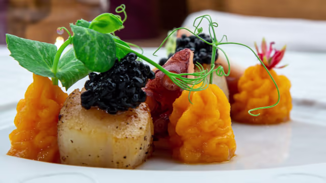 Scalopes bem grelhados, cobertos com caviar negro e acompanhados por um puré suave de abóbora ou cenoura, guarnecidos com brotos de ervilha e um toque de cor vermelho.