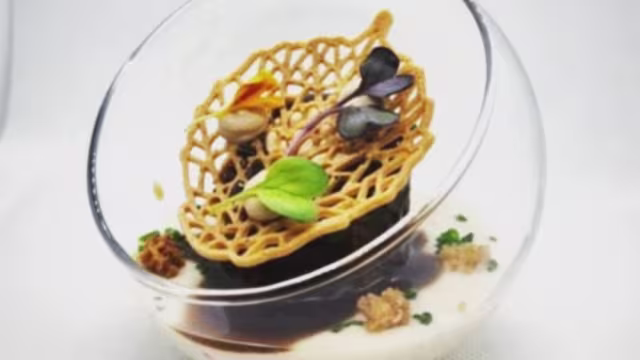 Plato elegante con base de salsa blanca cremosa, mousse o terrina oscura, decorado con champiñones y microgreens, y rematado con una red crujiente de masa frita.