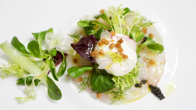 Carpaccio des langoustine acidulé