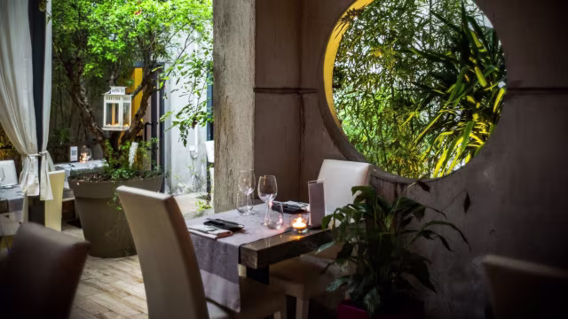 Interno di un ristorante accogliente con un'estetica moderna, illuminato da una finestra rotonda e decorato con piante in vaso.