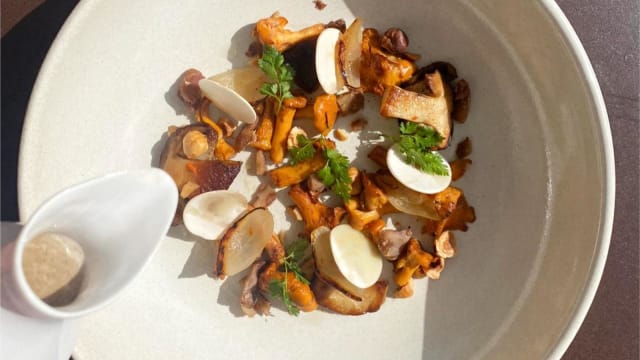 Champignons d’automnes, cèpes et girolles, velouté