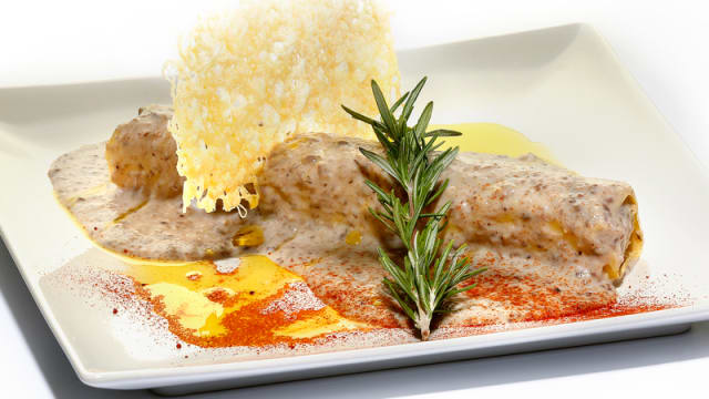 Starter Canelloni