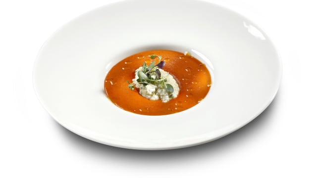 Starter Soup