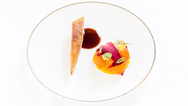 Anatra, carote, anice stellato, jus di mele