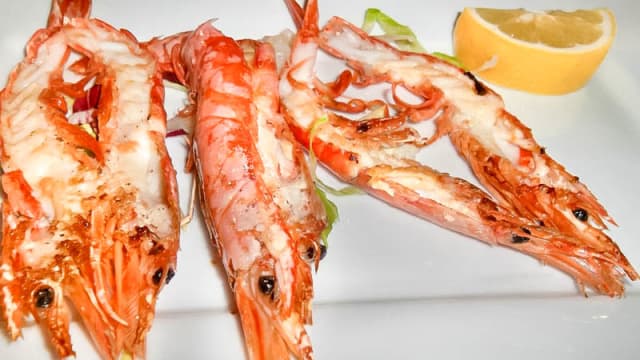 pesce