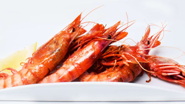 Gamba roja de Denia