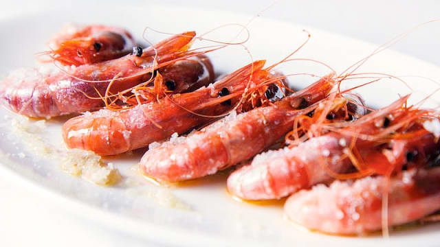 sugerencia de la casa