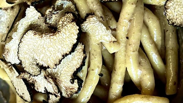 pici al tartufo fresco