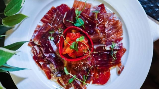 Patanegra