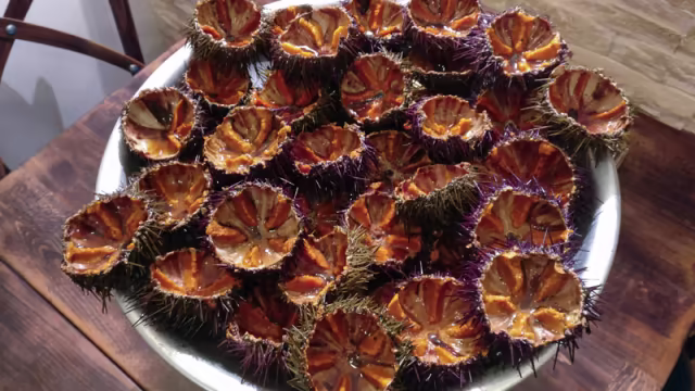 Suggestion d'entrée