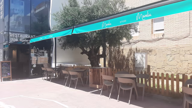 Exterior de restaurante moderno con grandes ventanales, un olivo prominente y área de asientos al aire libre bajo un toldo turquesa.