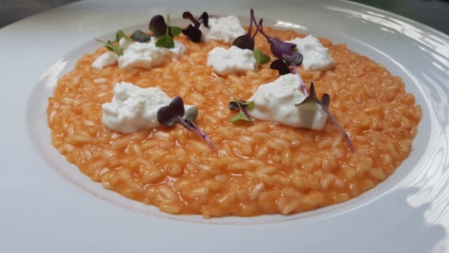 Piatto