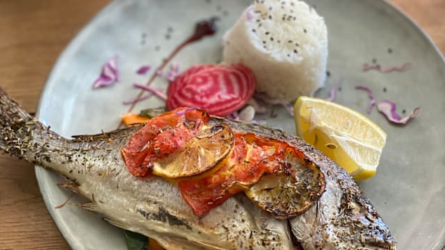 Daurade sauge mediterranée