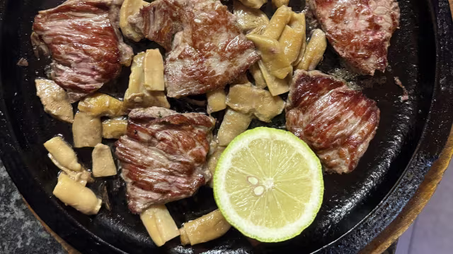 Santo Stefano Ristorante Pizzeria, Bareggio