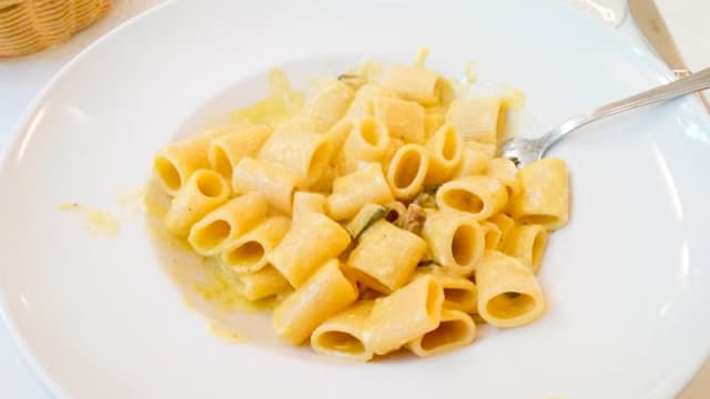 piatto