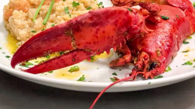 Risotto all'astaice e profumi di Napoli