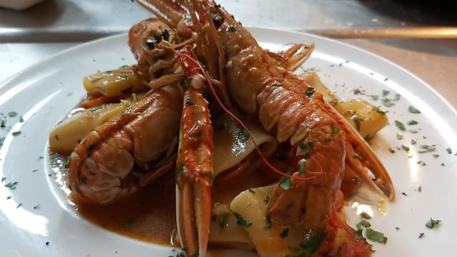 paccheri agli scampi