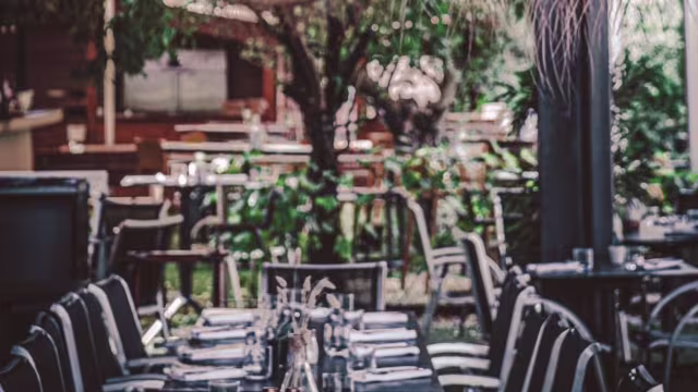 Espace de restauration en plein air avec des tables bien disposées sous les arbres, entouré de verdure luxuriante, créant une atmosphère détendue et accueillante.