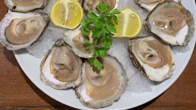 Ostras frescas sobre hielo picado, acompañadas de rodajas de limón y perejil.