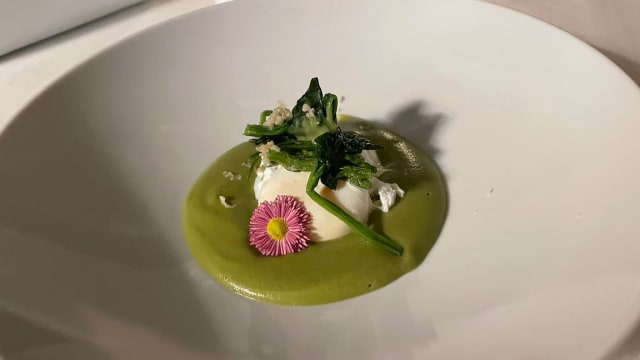 Uovo fondente su crema di fave, asparagi e bieta saltati, bottarga