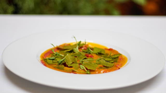 Osteria Ophis