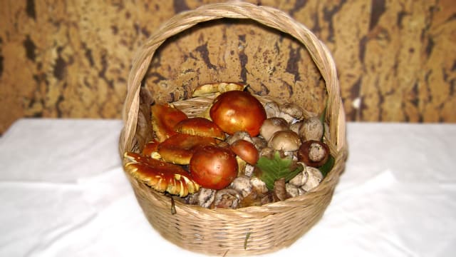 Funghi porcini