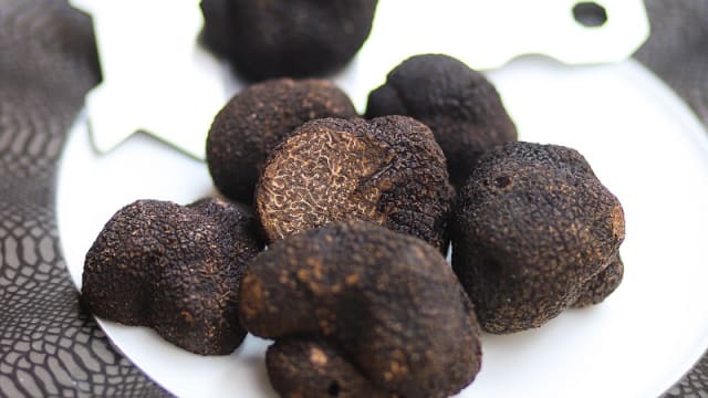 truffes noires du Périgord