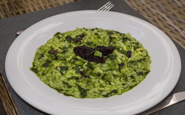 piatto