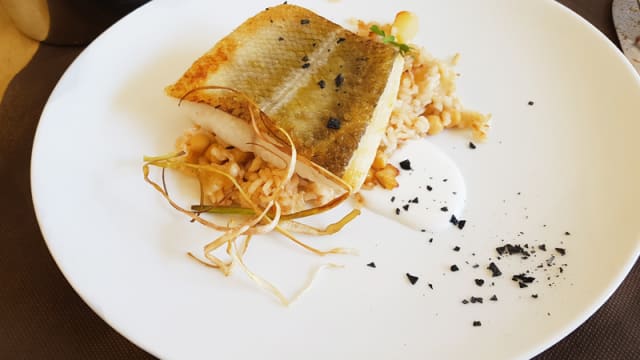 Sugerencia Plato