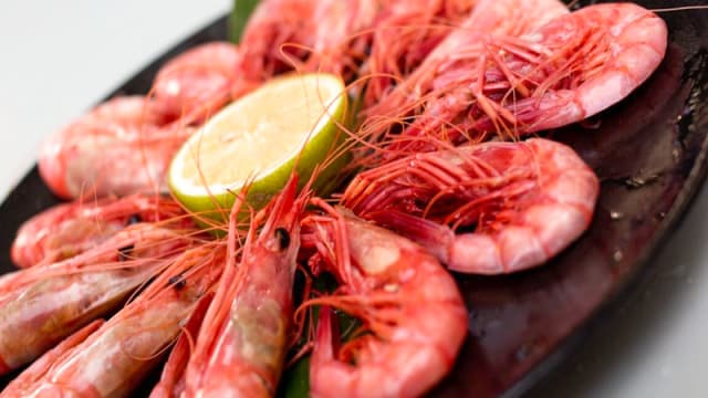 Sugerencia del chef