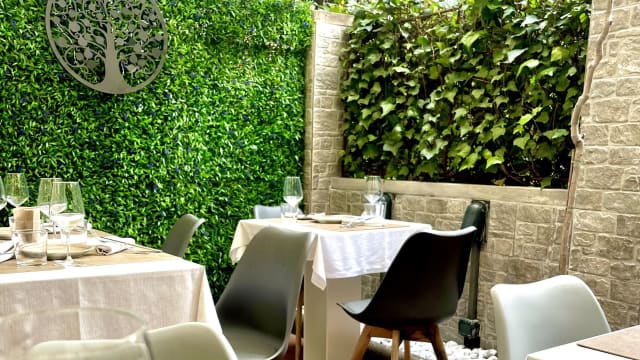 Anima Osteria Italiana, Firenze