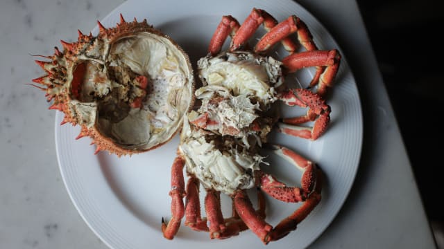 Araignée de Mer