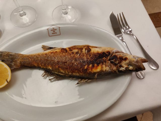 plat