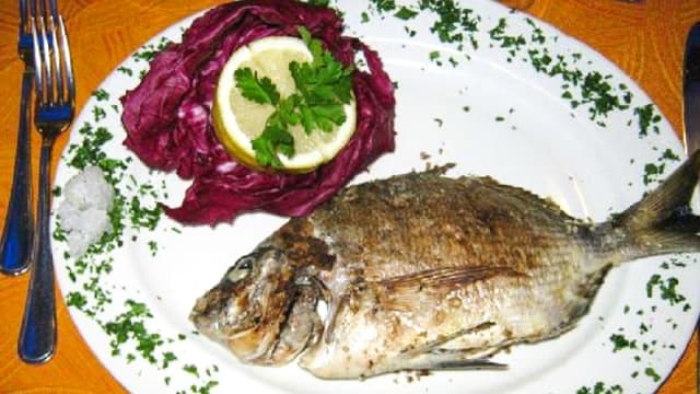 Piatto di pesce