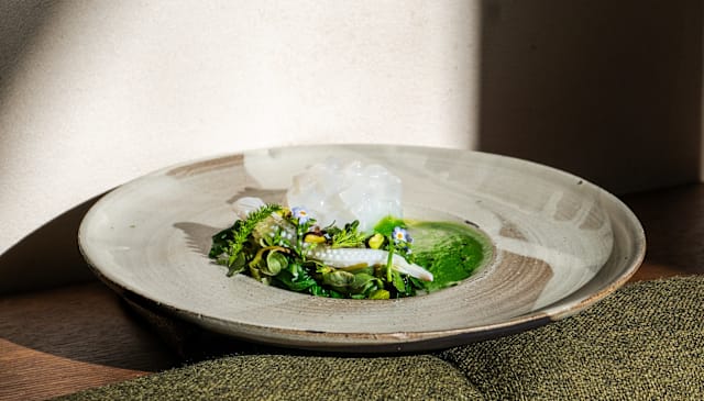 Encornets, mousse de chrysanthème, blettes, pourpier, pistache et citron caviar 