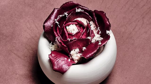 Dessert a forma di rosa con petali di cioccolato rosso scuro, decorato con polvere bianca.