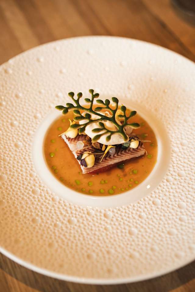 Mooi gepresenteerd gerecht met een vierkant terrine, waarschijnlijk van vlees of vis, in een delicate bouillon. De terrine is gegarneerd met kleine toefjes romige saus en een decoratieve takje groen, wat een frisse toets toevoegt. De heldere bouillon heeft hints van groen, mogelijk van kruiden of groenten, wat de presentatie versterkt.